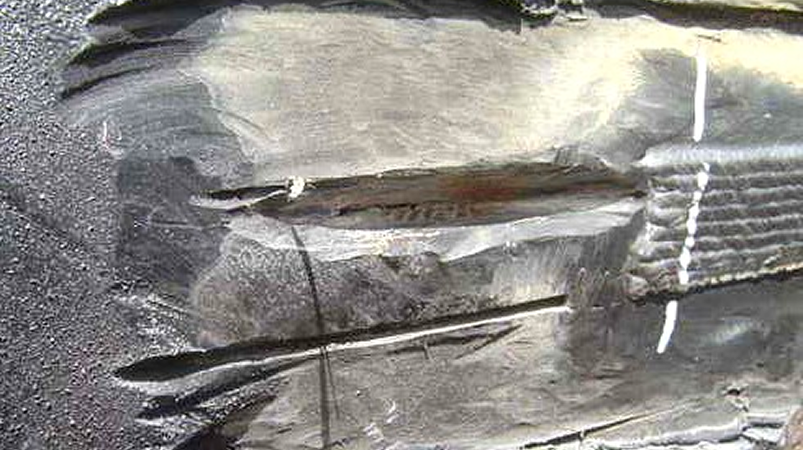 B1 1