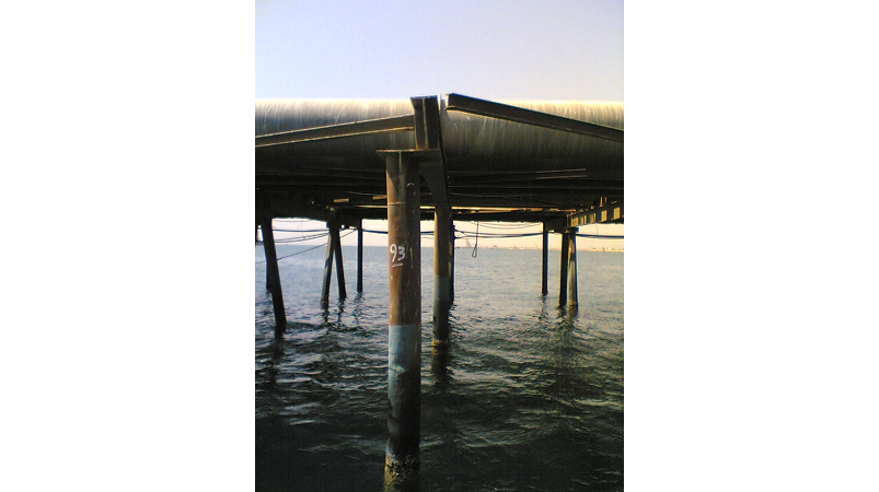 Image(1561) 1