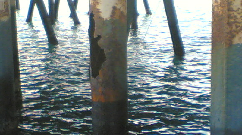 Image(1568) 1